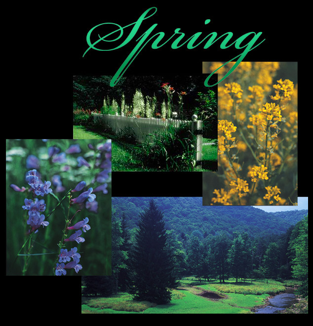 Spring.jpg (145944 bytes)