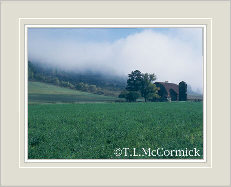 McCormick Gallery