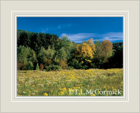 McCormick Gallery