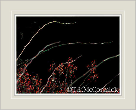 McCormick Gallery