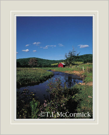 McCormick Gallery