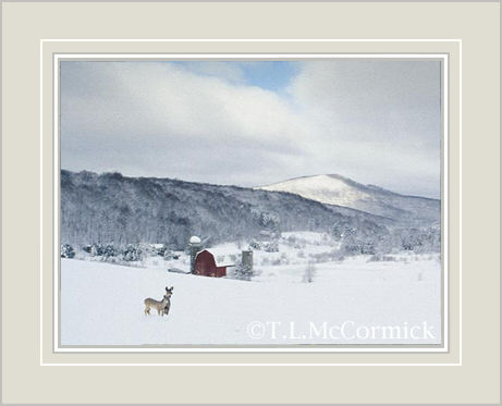 McCormick Gallery