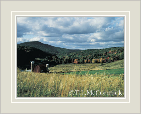 McCormick Gallery