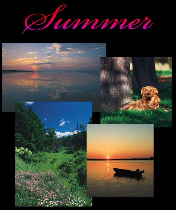 Summer3.jpg (61057 bytes)