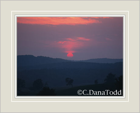 Dana Todd Gallery