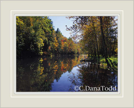 Dana Todd Gallery