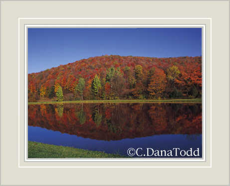 Dana Todd Gallery