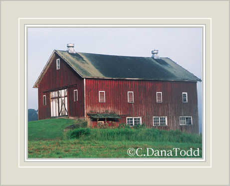 Dana Todd Gallery