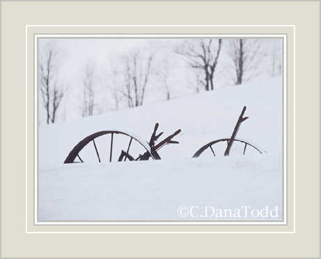 Dana Todd Gallery