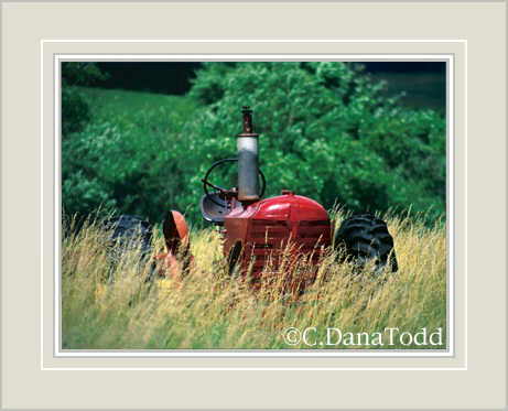 Dana Todd Gallery