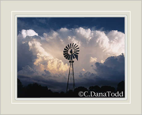 Dana Todd Gallery