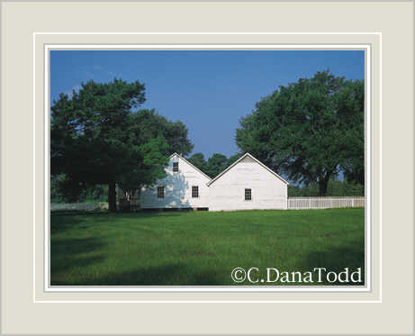 Dana Todd Gallery