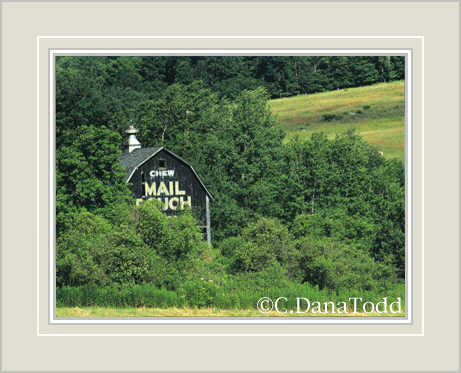 Dana Todd Gallery