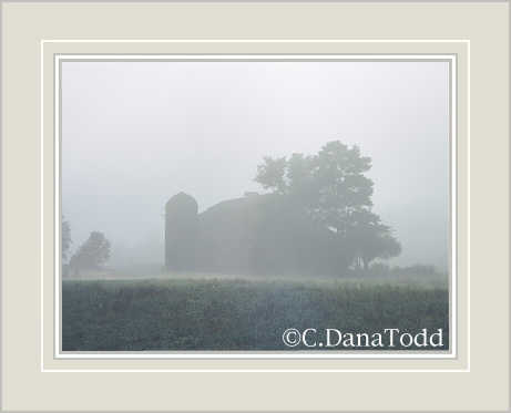 Dana Todd Gallery