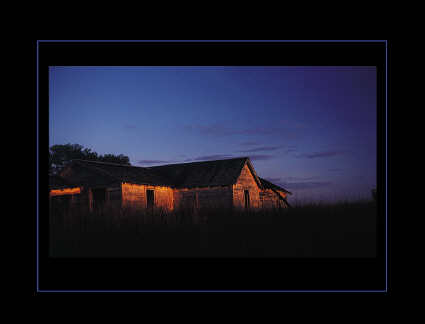 Dana Todd Gallery